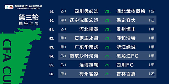 新澳门码精准资料,经典解释落实_游戏版256.184