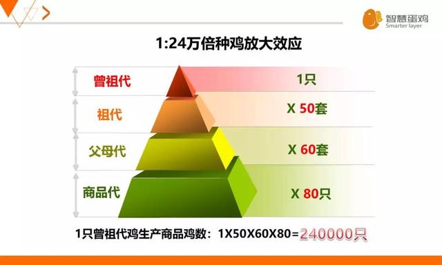 2024今晚新澳门开特马,广泛的关注解释落实热议_Android256.184