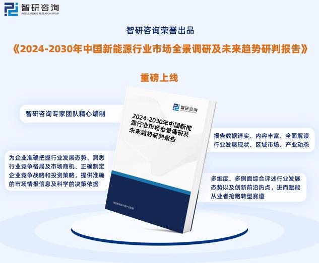 2024新奥正版资料免费,价值解答解释落实_限定版59.69.91